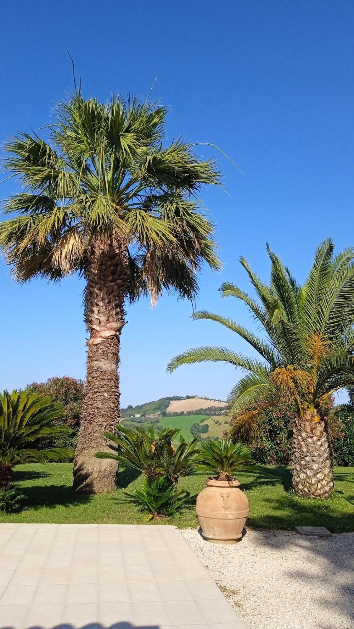 Villa Belvedere Degli Ulivi 오시모 외부 사진